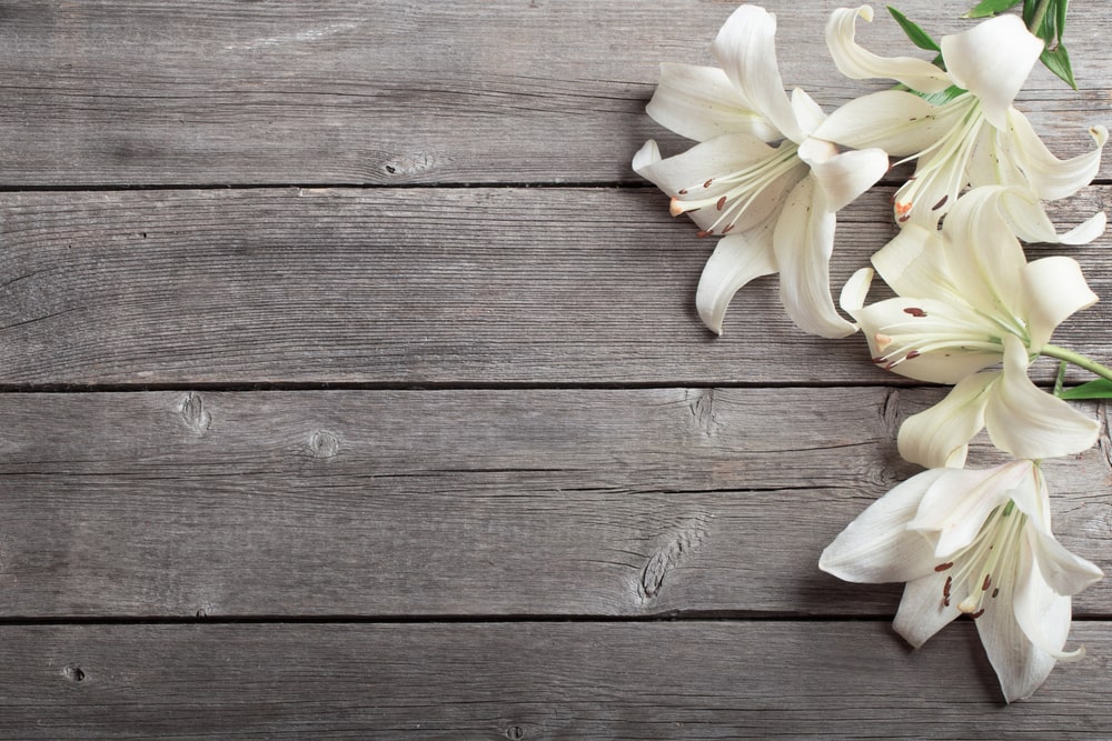 Simple Ways to Personalize the 7 Elements of a Funeral