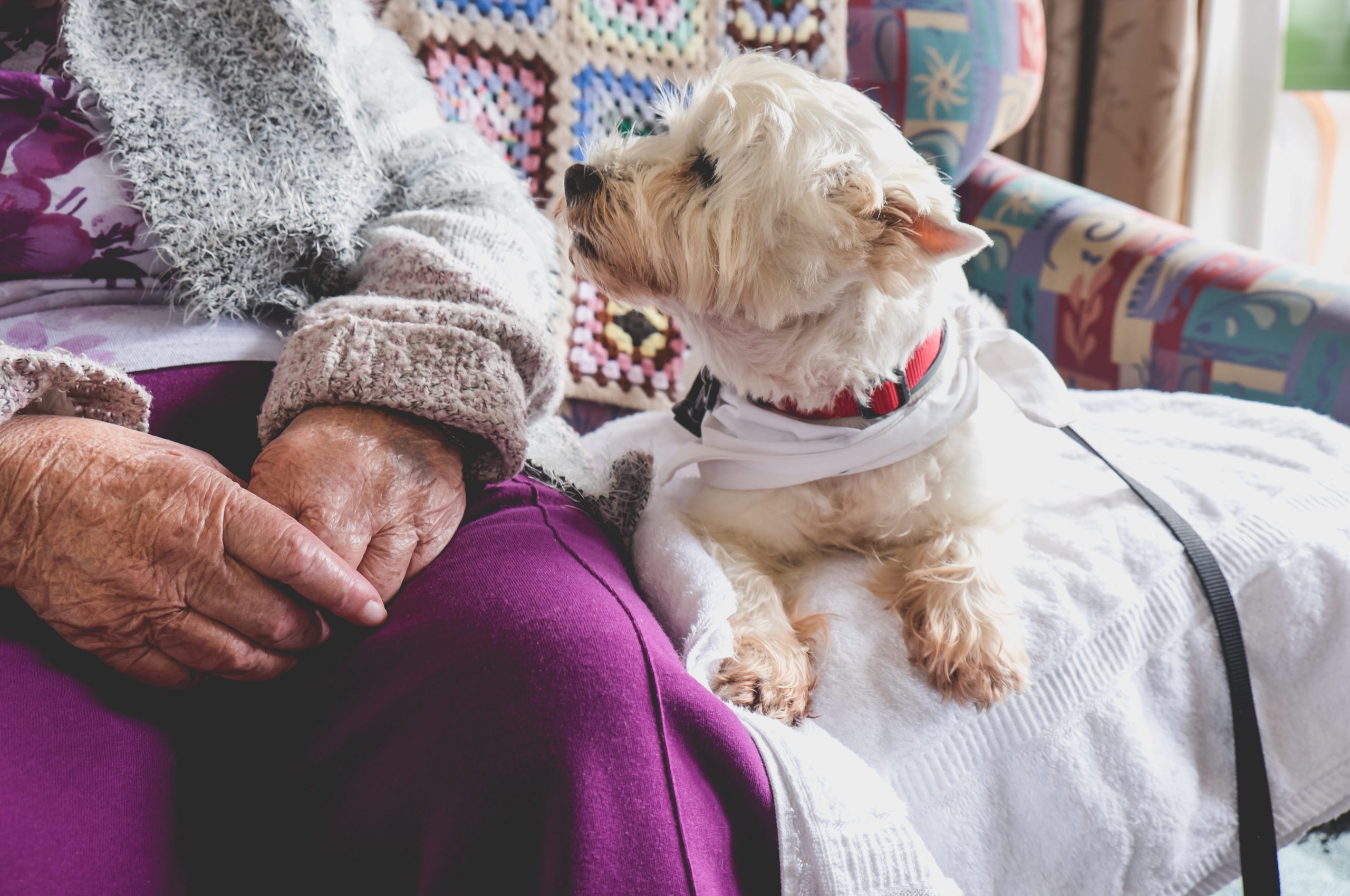 Elderly woman sitting next to dog